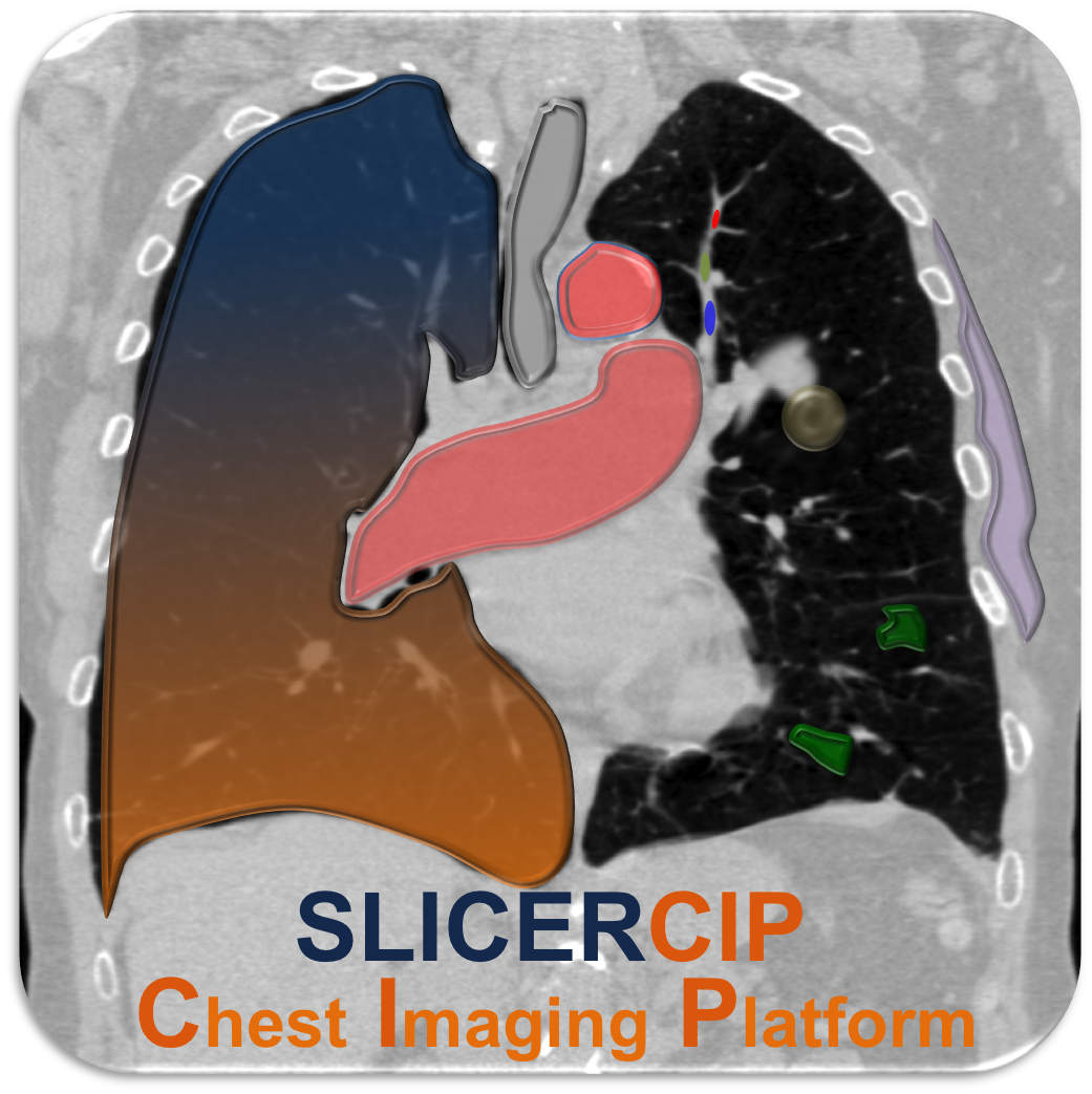 SlicerCIP website
